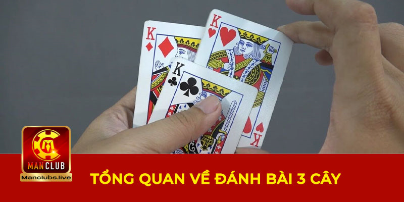 Tổng quan về đánh bài 3 cây